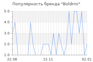 Популярность бренда boldrini