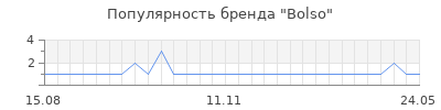 Популярность bolso
