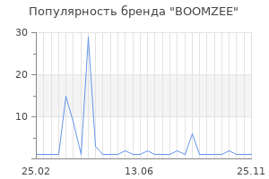 Популярность бренда BOOMZEE
