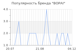 Популярность бренда BOPAI
