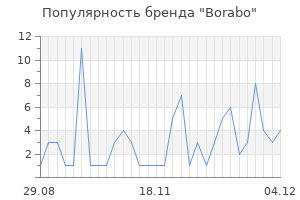 Популярность бренда borabo