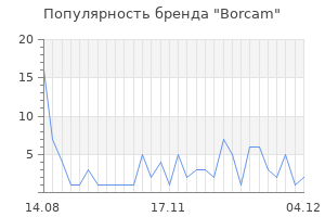 Популярность бренда borcam