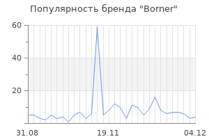 Популярность бренда borner