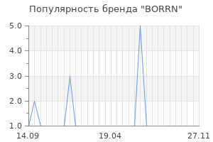 Популярность бренда BORRN