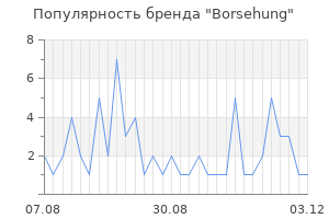 Популярность бренда borsehung