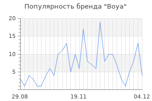 Популярность бренда boya