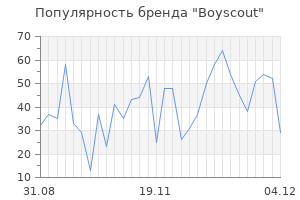 Популярность бренда boyscout