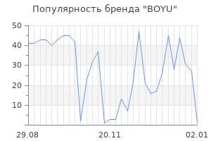 Популярность бренда boyu