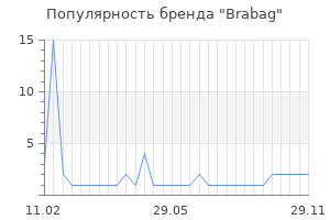 Популярность бренда brabag