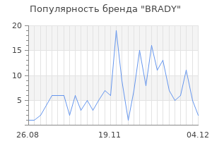Популярность бренда brady