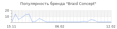 Популярность Braid Concept