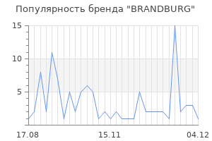Популярность бренда BRANDBURG