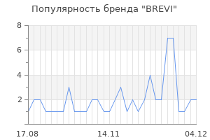 Популярность бренда brevi