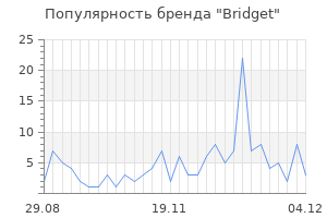 Популярность бренда bridget
