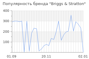 Популярность бренда briggs stratton