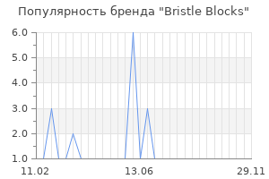 Популярность бренда bristle blocks