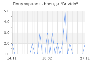 Популярность бренда brivido