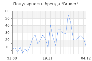 Популярность бренда bruder