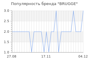 Популярность бренда BRUGGE