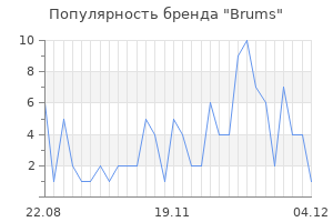 Популярность бренда brums
