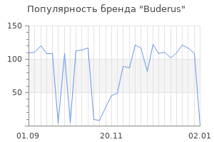 Популярность бренда buderus
