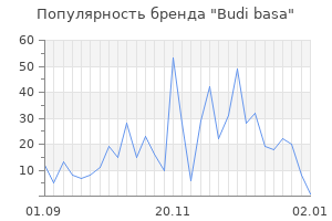 Популярность бренда budi basa