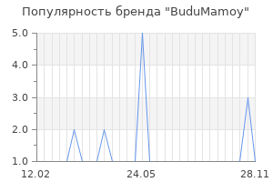 Популярность бренда budumamoy