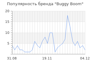 Популярность бренда buggy boom