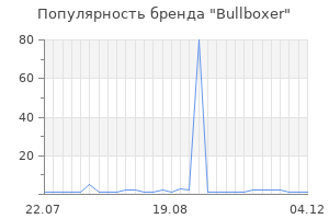 Популярность бренда bullboxer