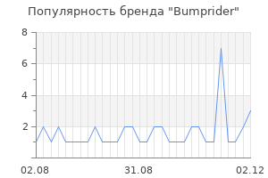 Популярность бренда bumprider