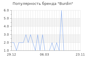 Популярность бренда burdin