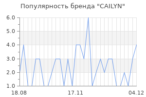 Популярность бренда cailyn