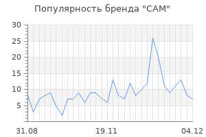 Популярность бренда cam