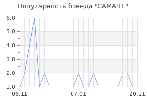 Популярность бренда CAMA'LE