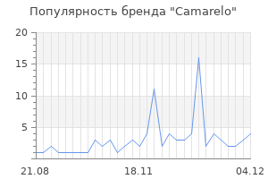 Популярность бренда camarelo