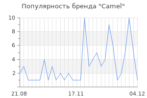 Популярность бренда camel