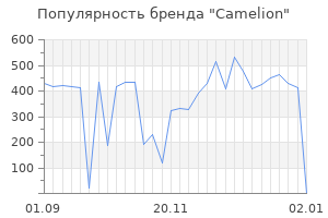 Популярность бренда camelion