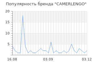 Популярность бренда camerlengo
