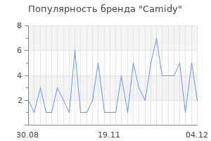 Популярность бренда camidy