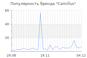Популярность бренда camillus