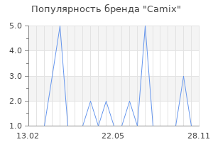 Популярность бренда Camix