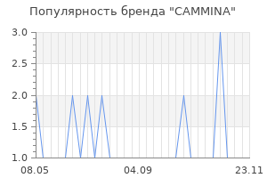 Популярность бренда cammina