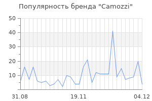 Популярность бренда Camozzi