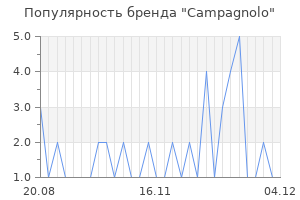 Популярность бренда campagnolo
