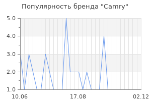 Популярность бренда camry
