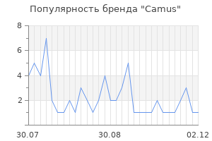 Популярность бренда camus