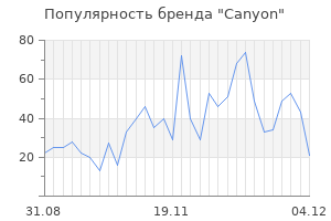 Популярность бренда canyon