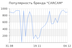 Популярность бренда carcam