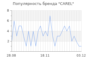 Популярность бренда carel