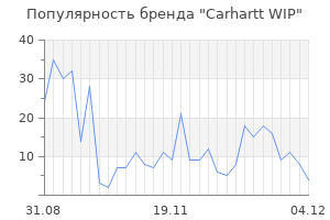 Популярность бренда carhartt wip